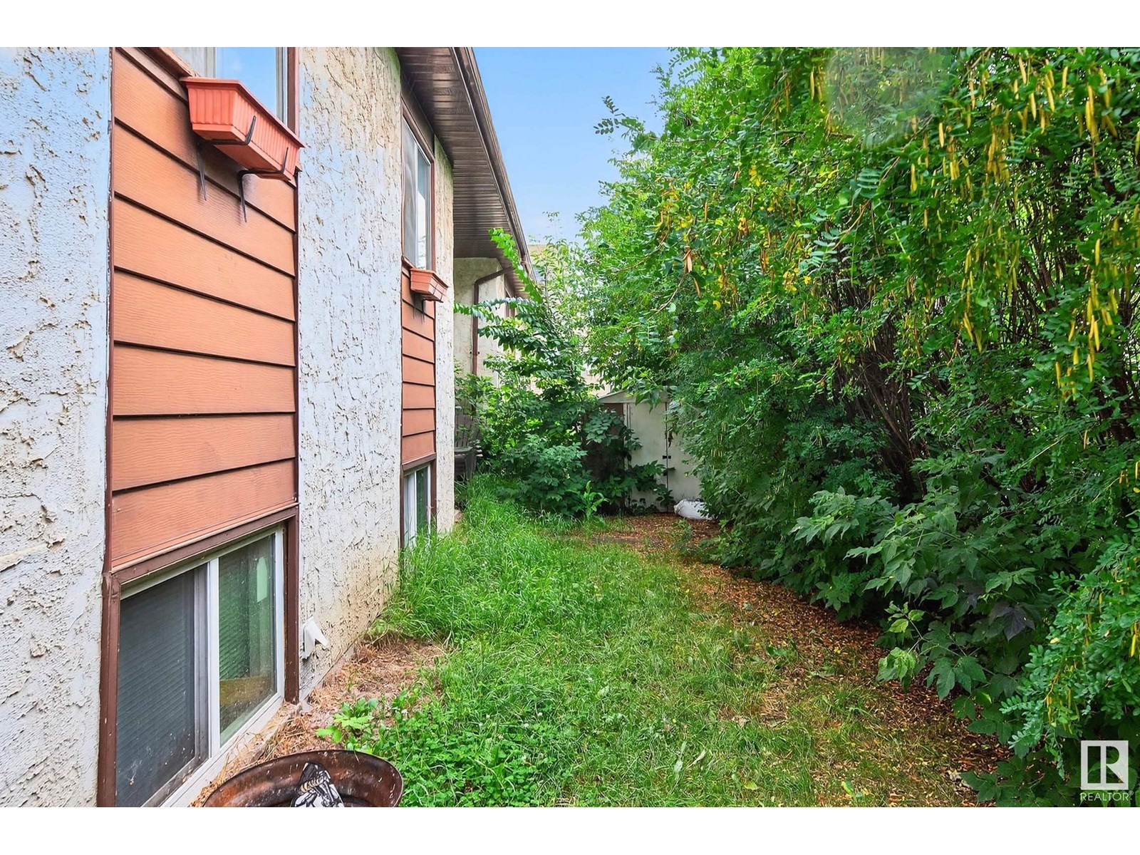 Property at 11205 125 ST NW image 4