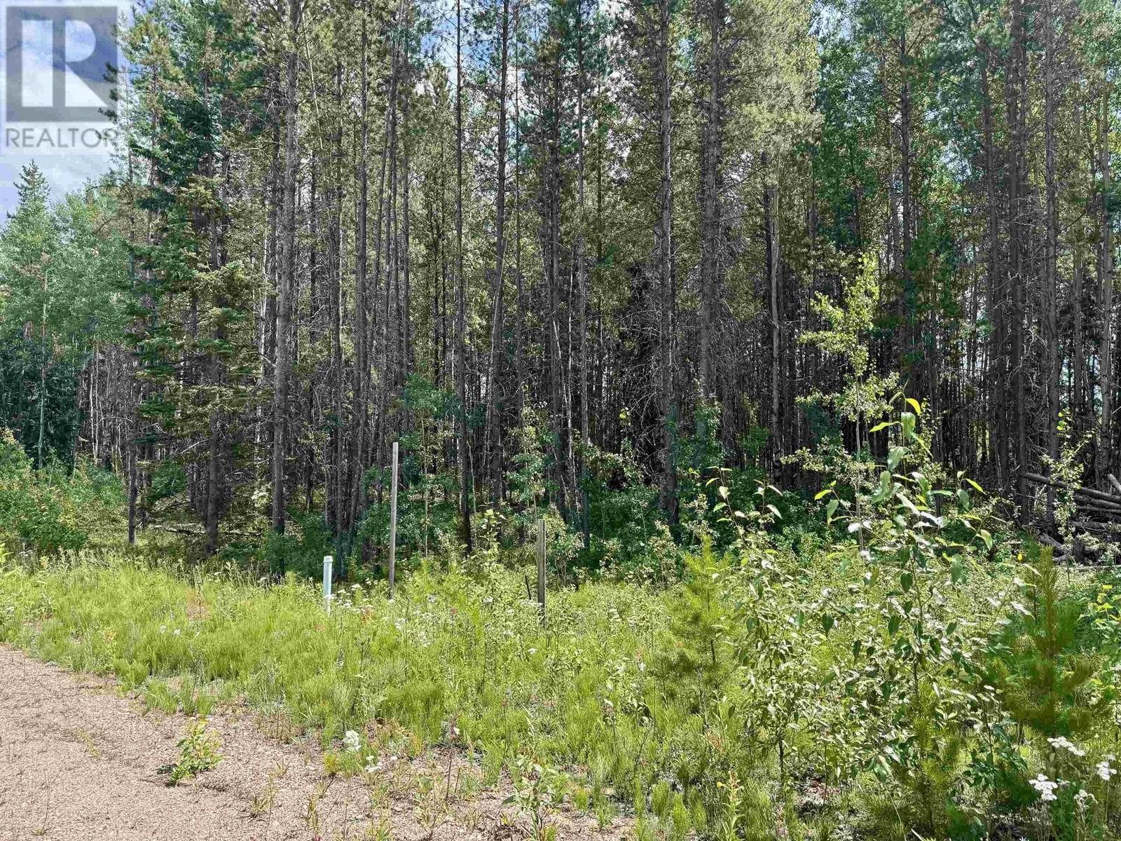 1075 18TH AVENUE, Valemount, British Columbia