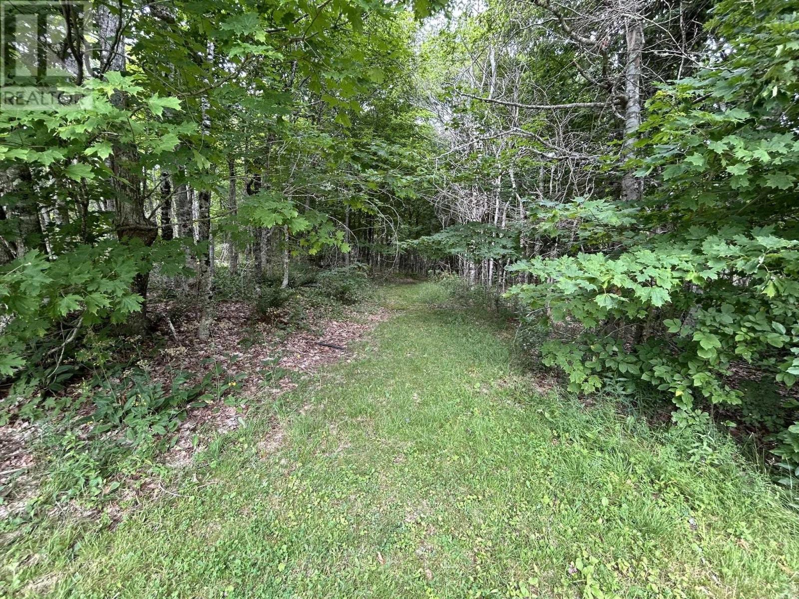 1079 Welch Branch, Forest Hill, Nova Scotia  B4P 2R1 - Photo 29 - 202518352