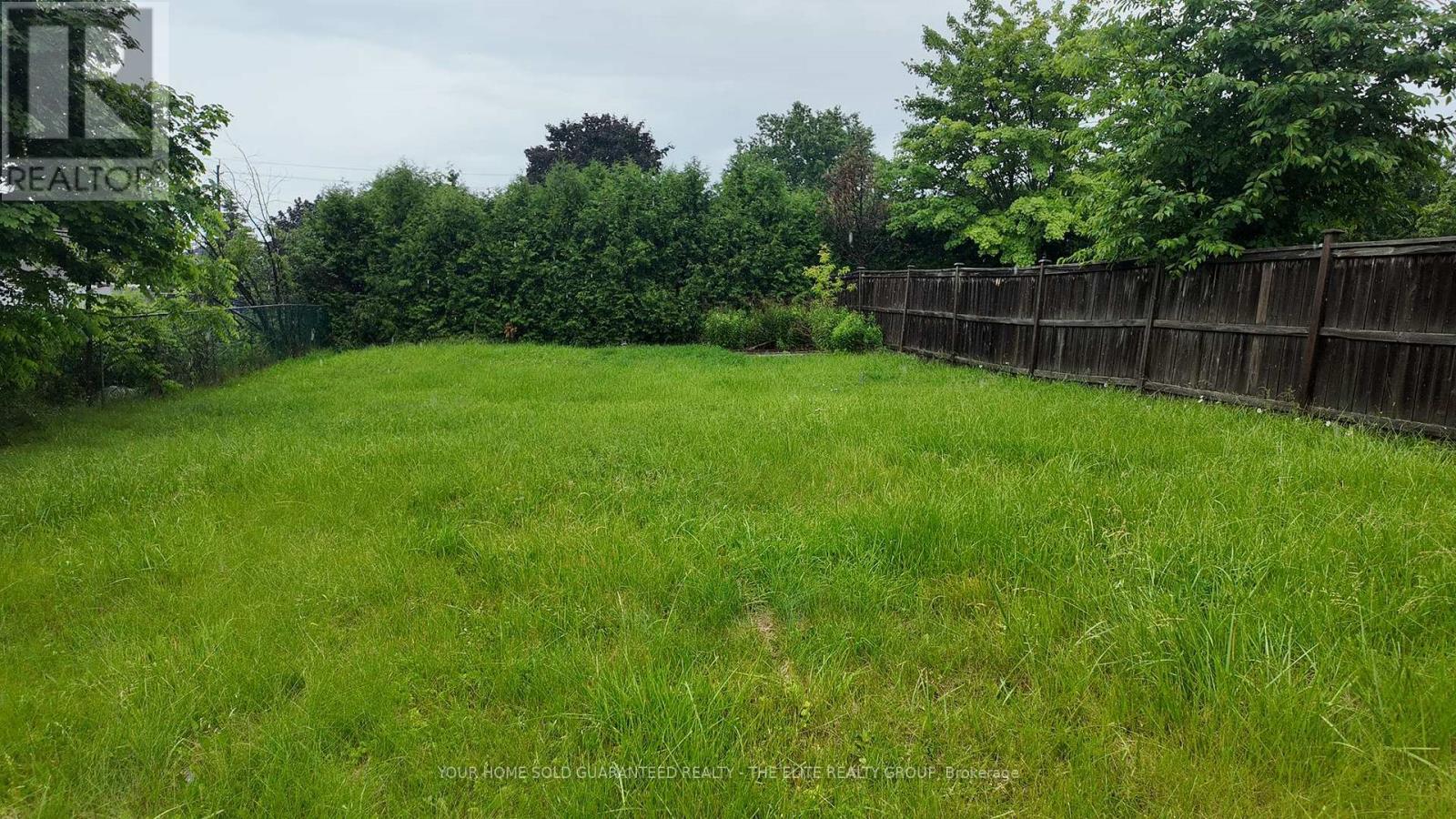 Lower - 74 David Street, Brampton, Ontario  L6X 1J7 - Photo 11 - W12300354