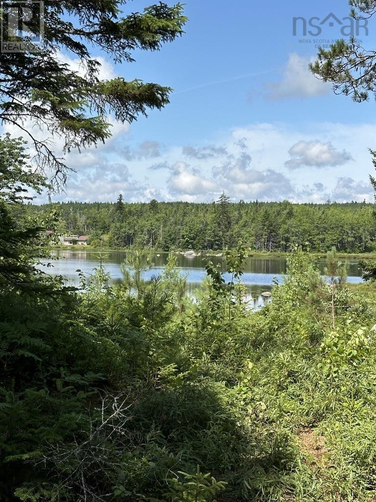 Lot 21 Highway 14, Sherwood, Nova Scotia  B0J 1J0 - Photo 14 - 202518382