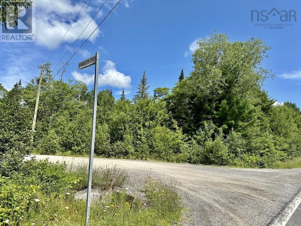 Lot 21 Highway 14, Sherwood, Nova Scotia  B0J 1J0 - Photo 3 - 202518382