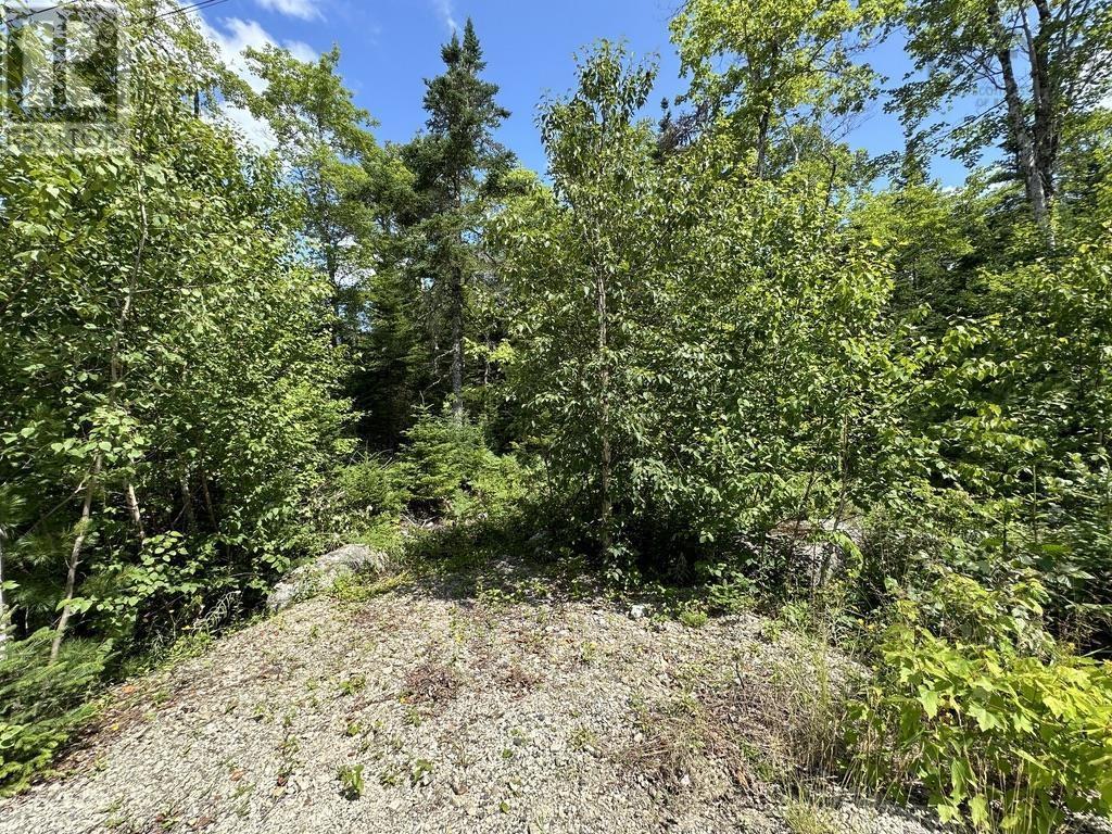 Lot 21 Highway 14, Sherwood, Nova Scotia  B0J 1J0 - Photo 7 - 202518382