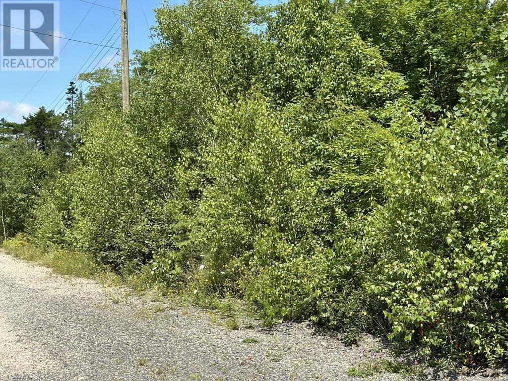Lot 21 Highway 14, Sherwood, Nova Scotia  B0J 1J0 - Photo 8 - 202518382