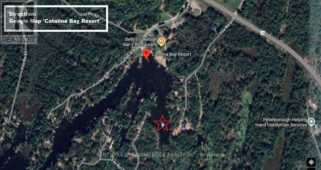 3402 Island 340, Trent Lakes, Ontario  K0L 1J0 - Photo 18 - X12300333