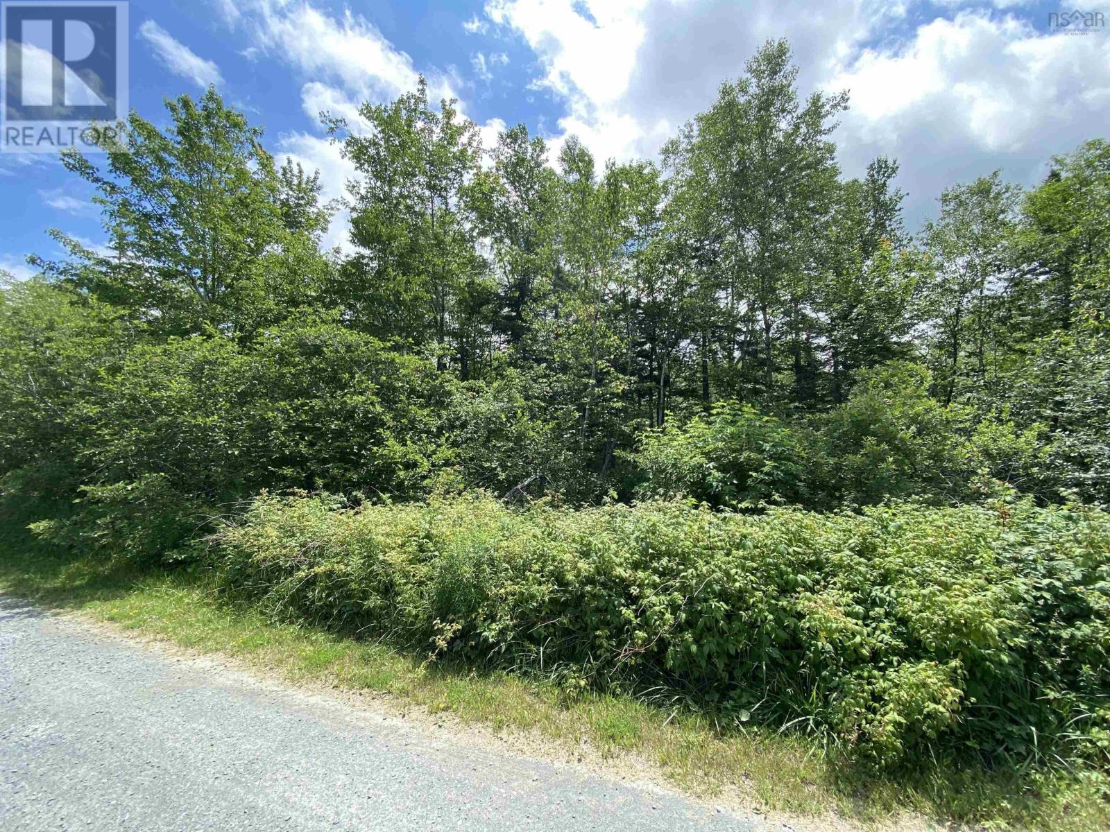 Bon Way Drive, Enfield, Nova Scotia  B2T 1C6 - Photo 12 - 202518150
