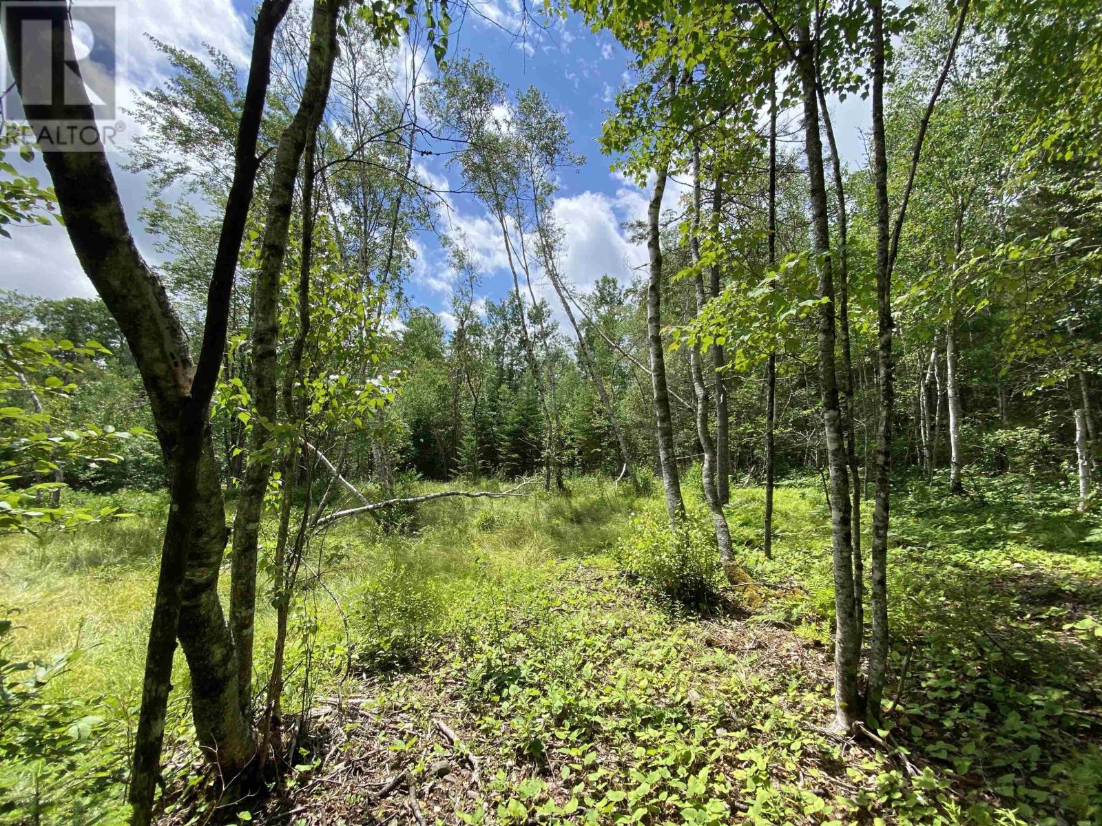 Bon Way Drive, Enfield, Nova Scotia  B2T 1C6 - Photo 16 - 202518150