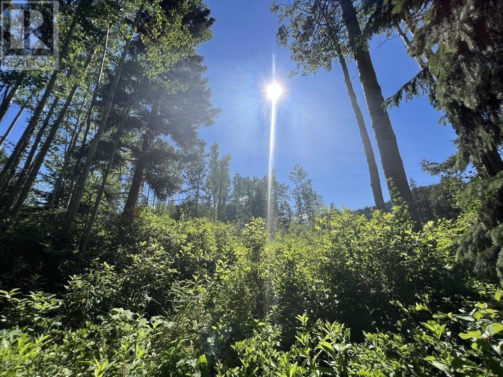 1 3000 DAHLIE ROAD, Smithers, British Columbia