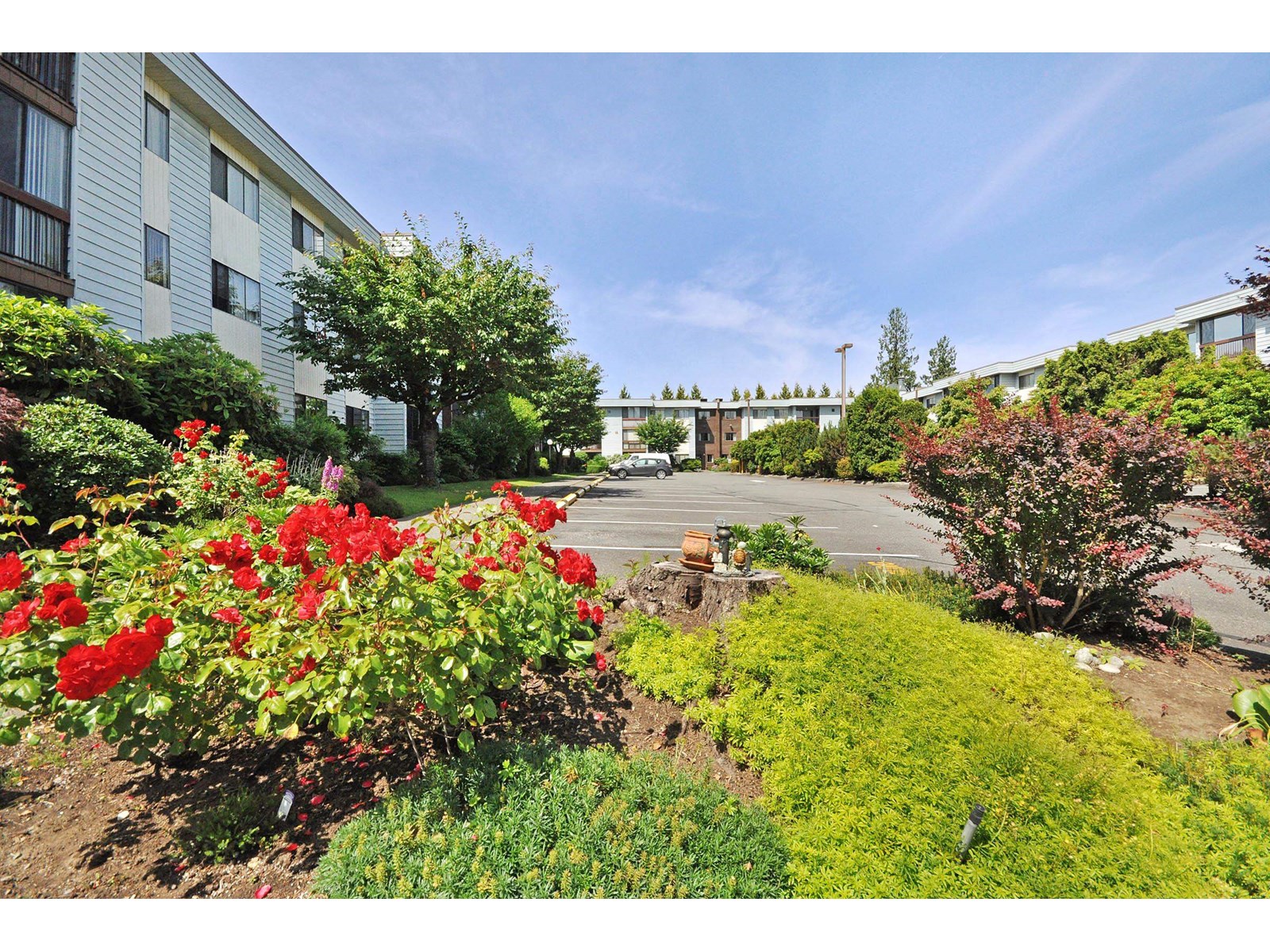 236 2279 Mccallum Road, Abbotsford, British Columbia  V2S 6J1 - Photo 25 - R3029292