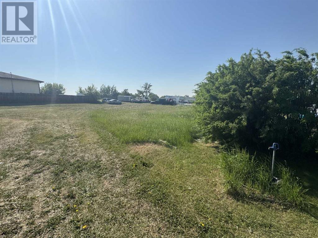 109 2 Street S, Torrington, Alberta  T0M 2B0 - Photo 2 - A2229261