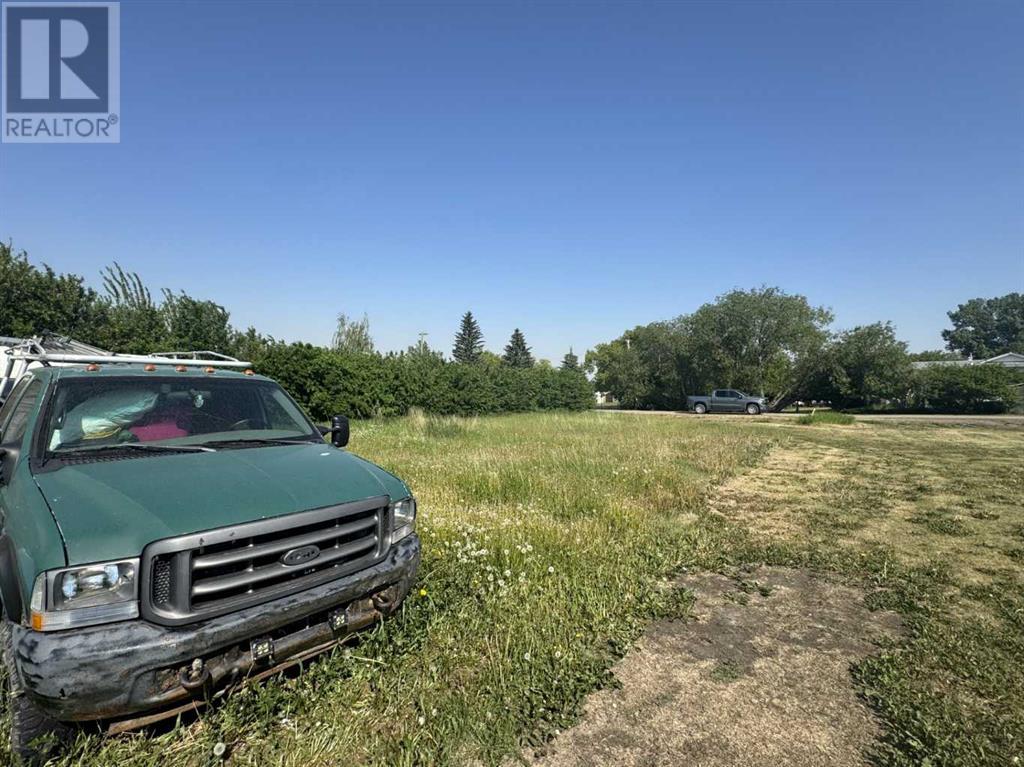 109 2 Street S, Torrington, Alberta  T0M 2B0 - Photo 3 - A2229261