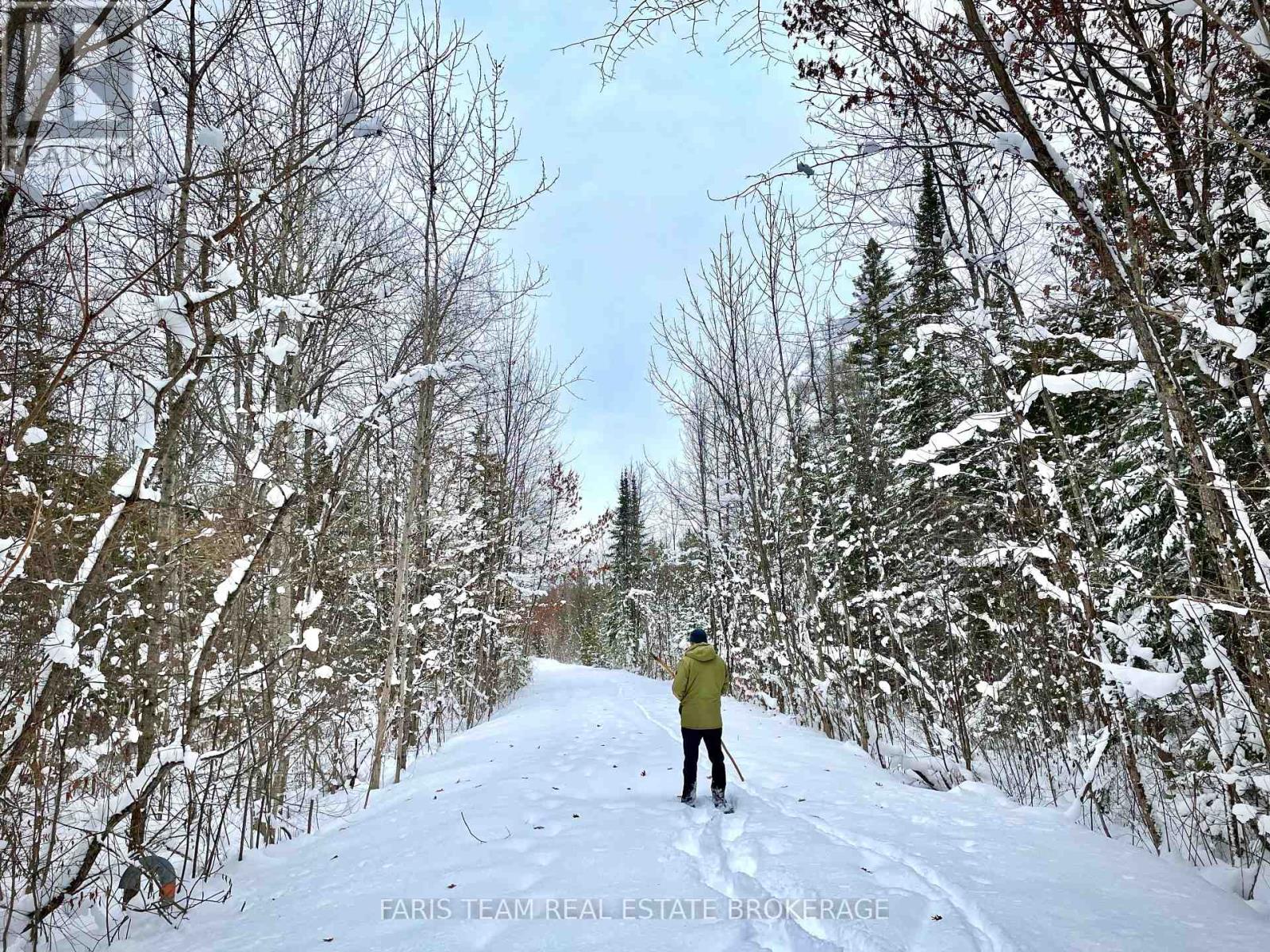 7 Delta Drive, Tay, Ontario  L0K 2C0 - Photo 40 - S12301062