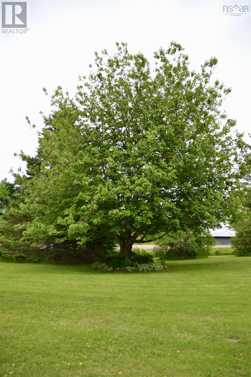 171 Highway 376, Central West River, Nova Scotia  B0K 1H0 - Photo 47 - 202515448