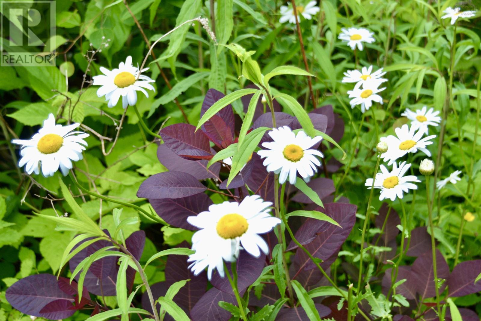 171 Highway 376, Central West River, Nova Scotia  B0K 1H0 - Photo 48 - 202515448