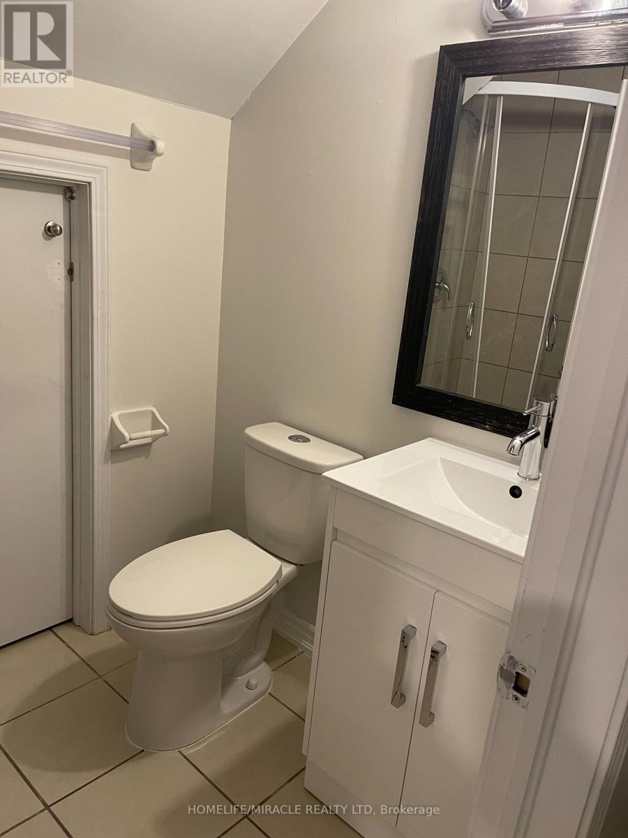 Basement - 1487 Chretien Street E, Milton, Ontario  L9E 1J1 - Photo 16 - W12301132
