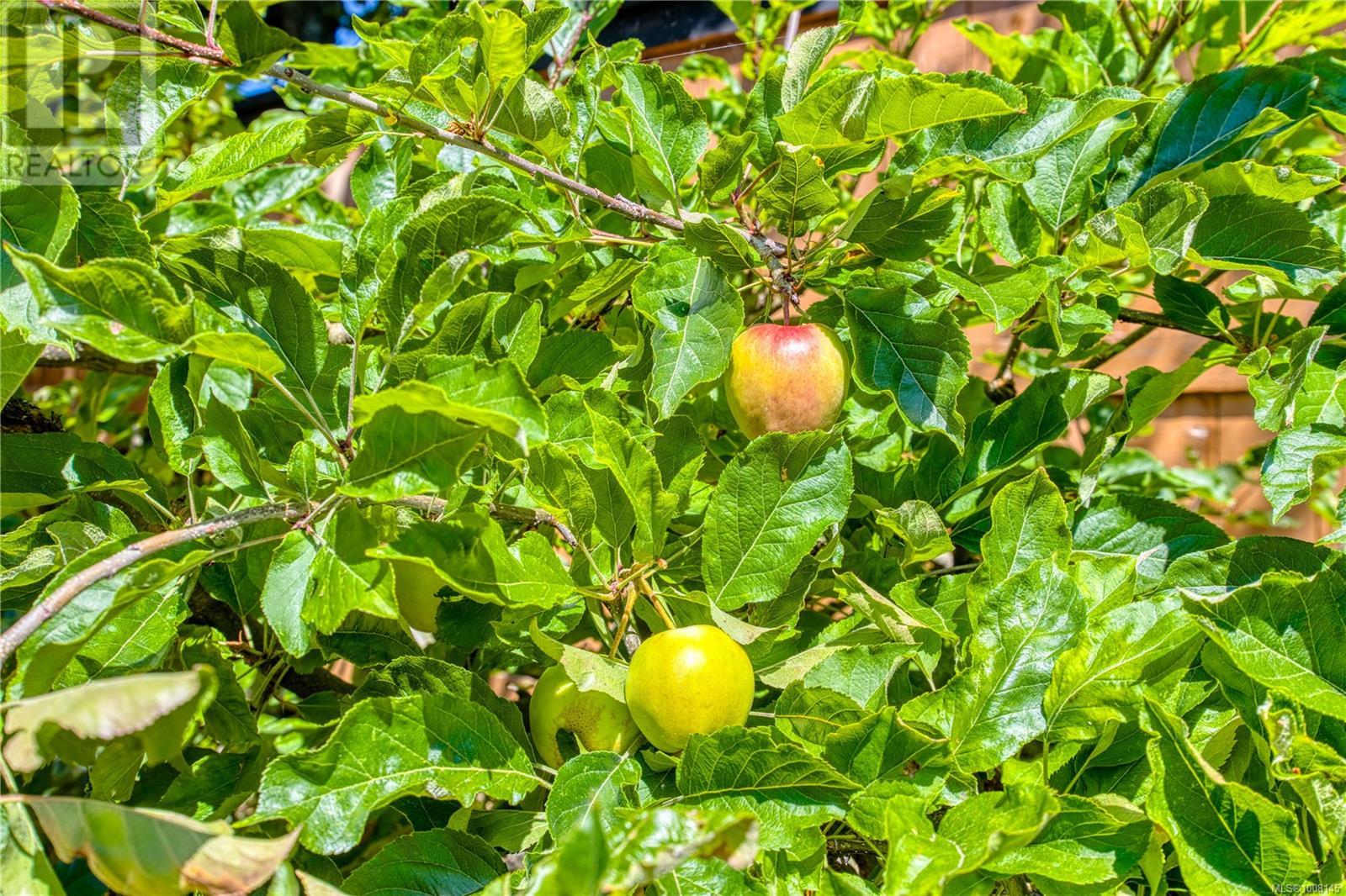 4848 Ney Dr, Nanaimo, British Columbia  V9V 1W5 - Photo 59 - 1008145