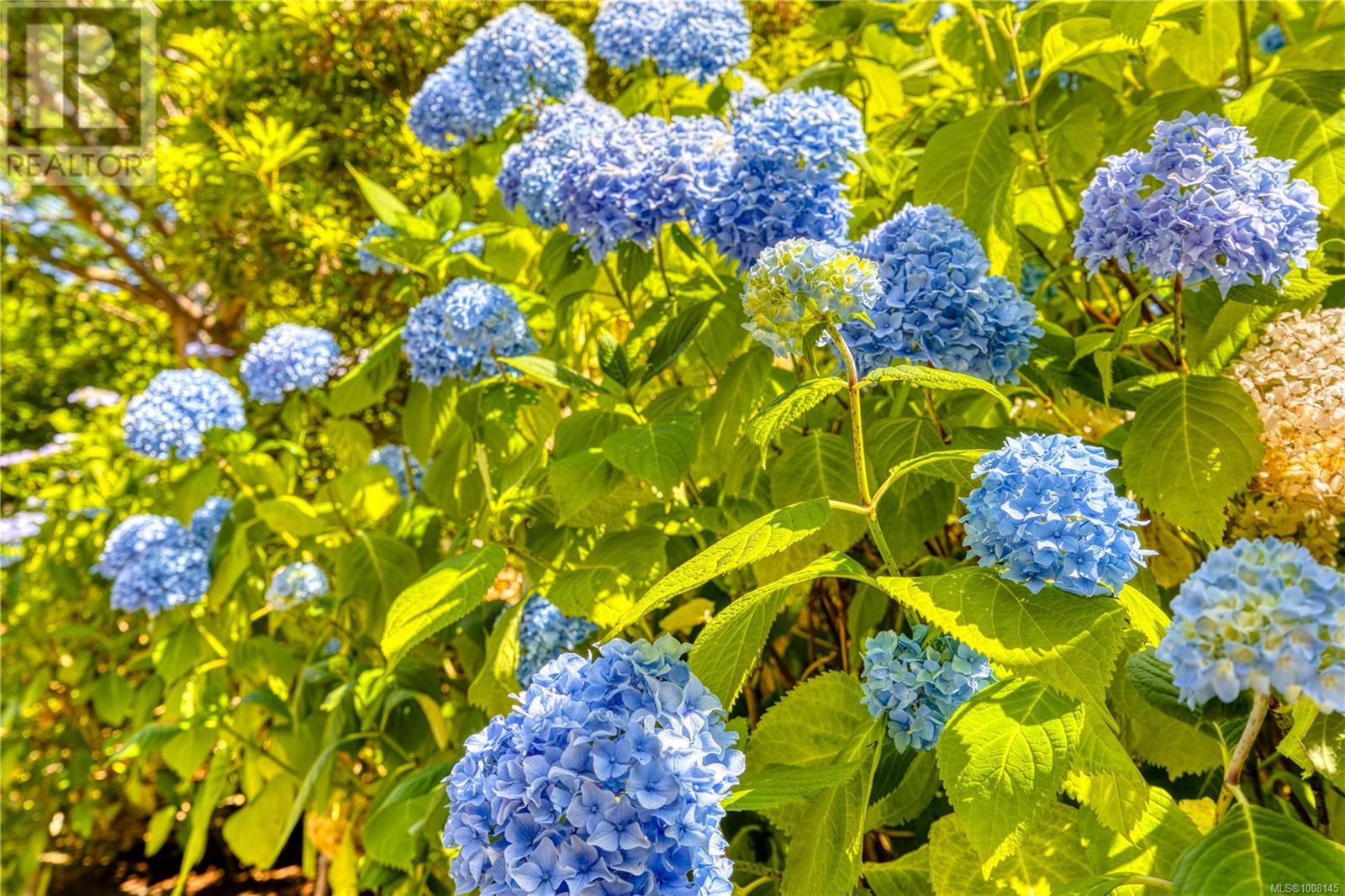 4848 Ney Dr, Nanaimo, British Columbia  V9V 1W5 - Photo 57 - 1008145