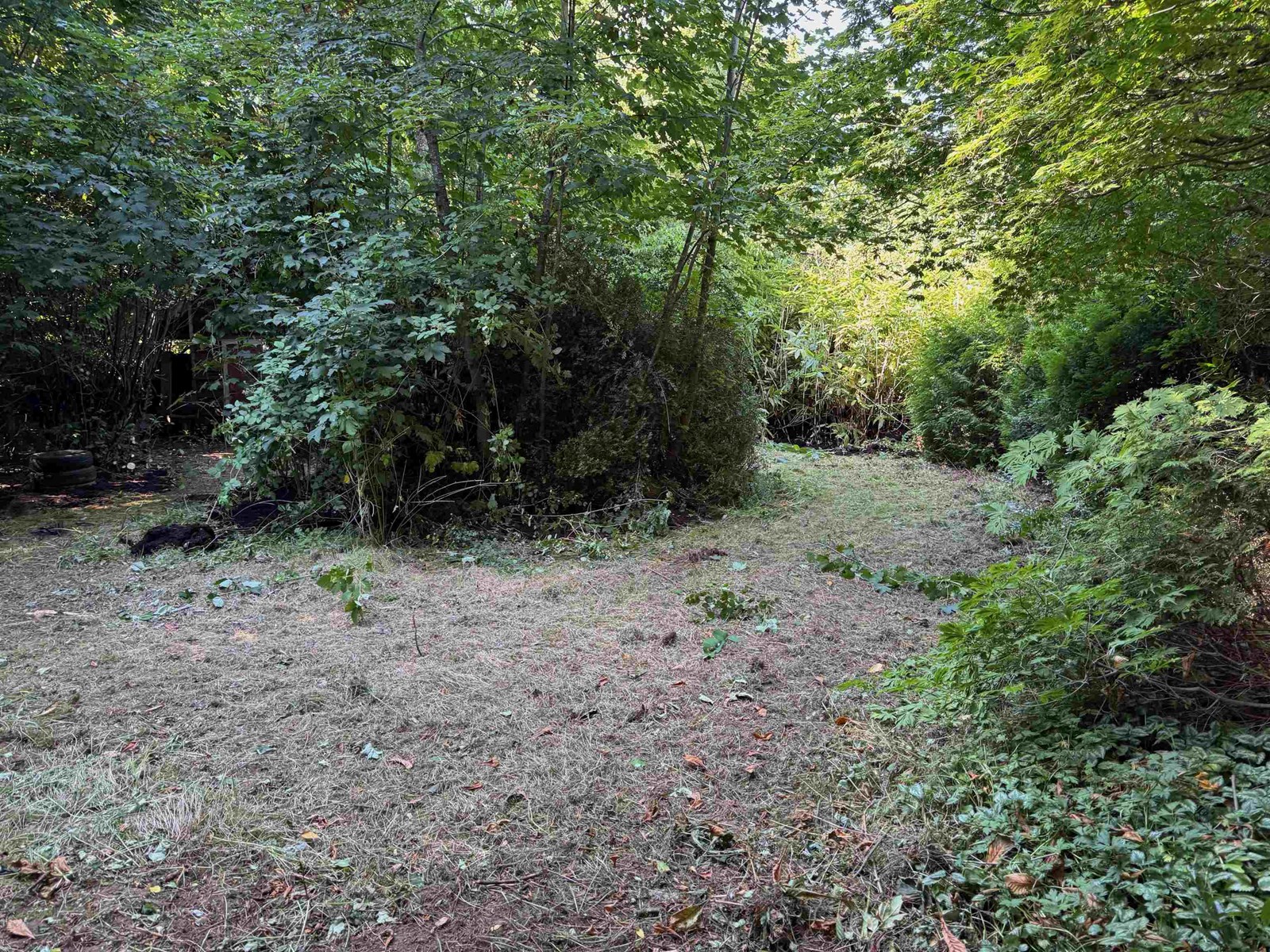 Property at 24919 57 AVENUE image 3