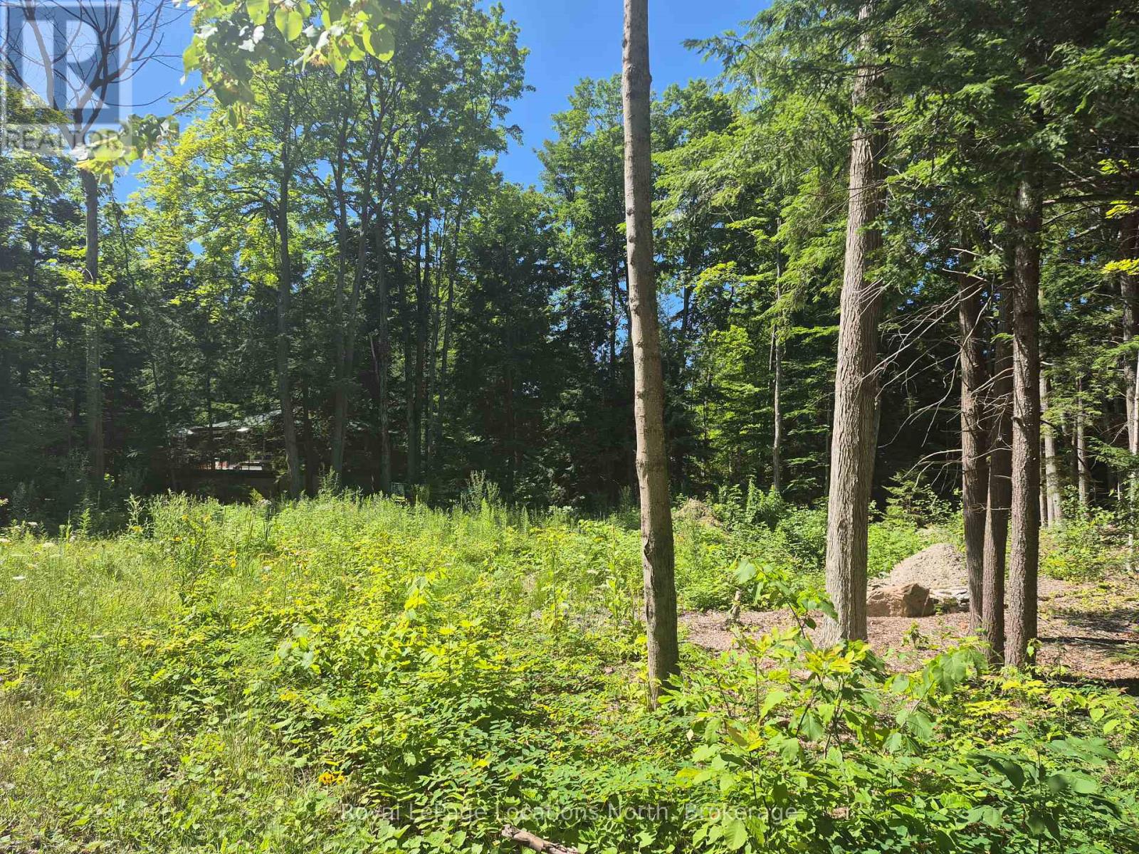 68 Beauremi Road, Tiny, Ontario  L0L 2J0 - Photo 4 - S12301290