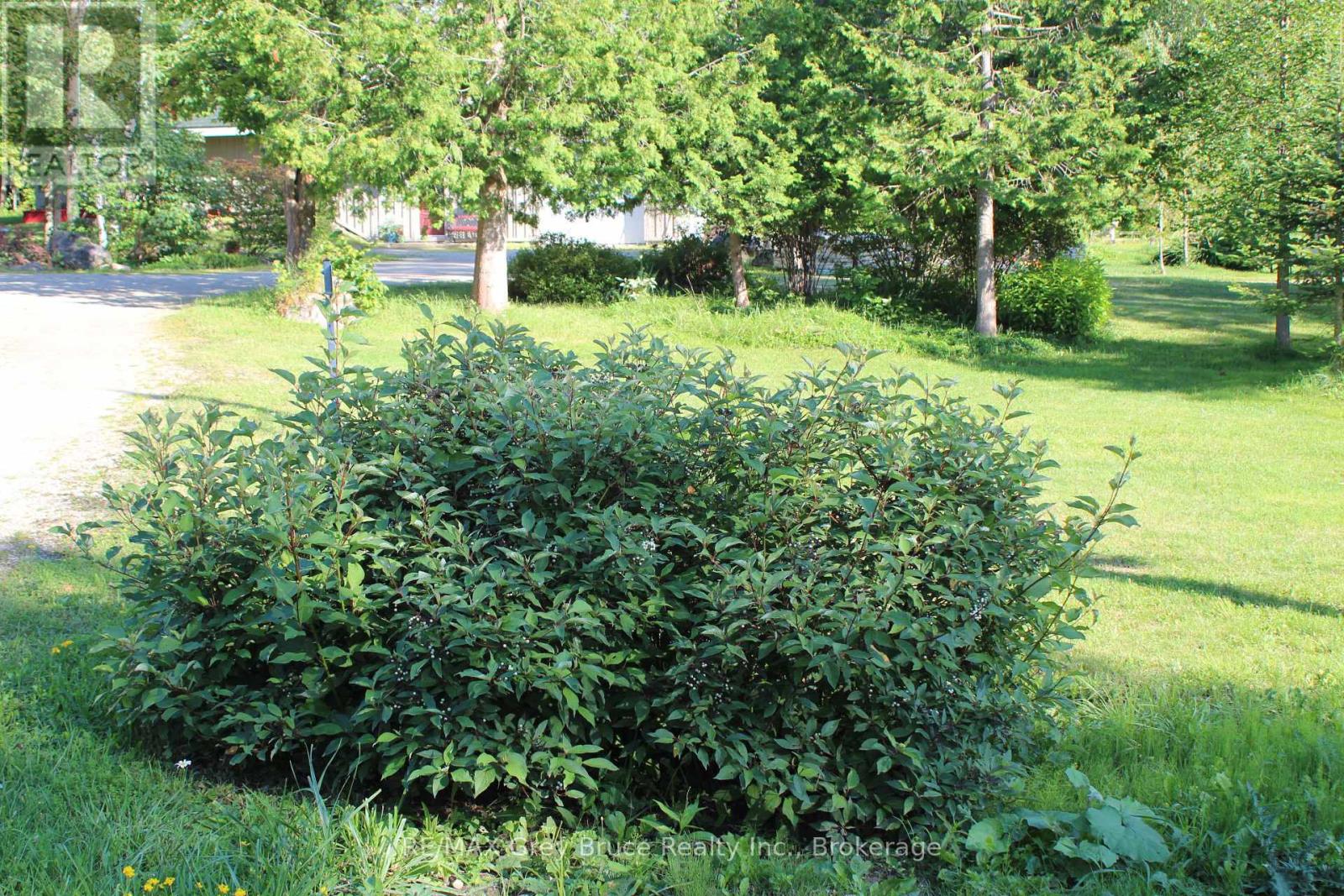 20 Maple Drive, Northern Bruce Peninsula, Ontario  N0H 1Z0 - Photo 40 - X12126172