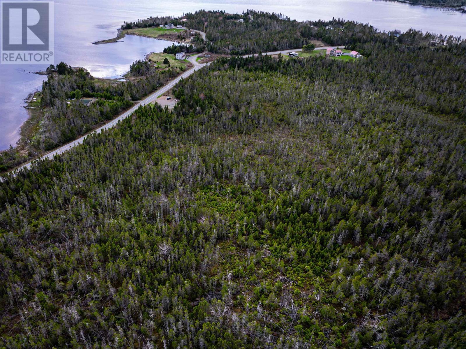 607 Mushaboom Road, Mushaboom, Nova Scotia  B0J 3H0 - Photo 9 - 202510695