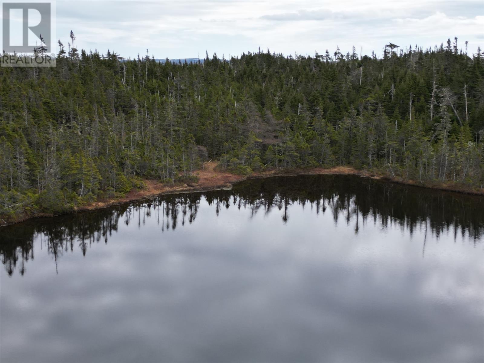 Lot #210 Fifth Island Pond, Deer Park, Newfoundland & Labrador   - Photo 7 - 1288254