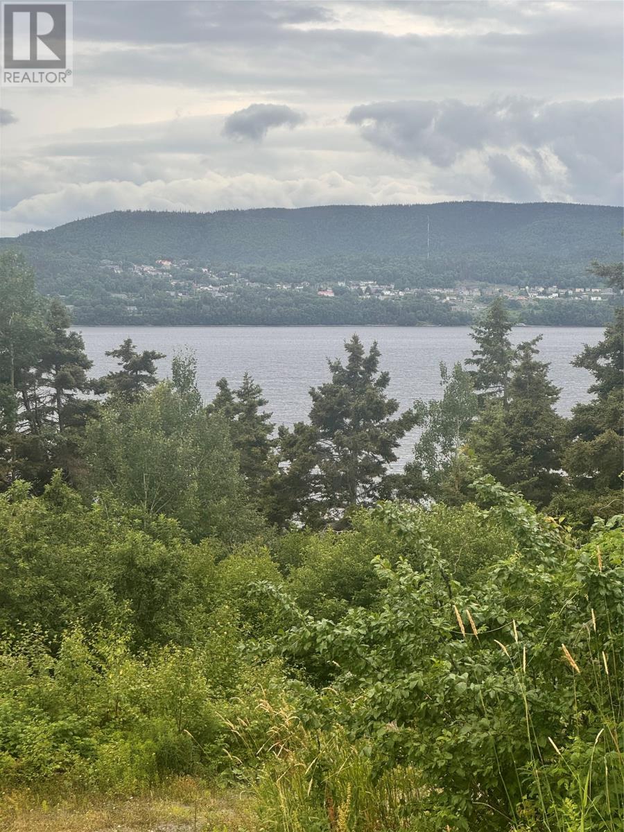 5 White's Road, Christopher's Cove, Newfoundland & Labrador  A2H 7E8 - Photo 12 - 1288163
