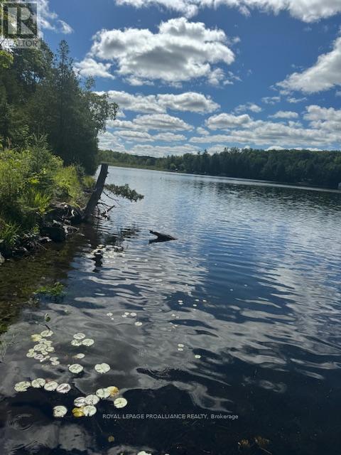 493 Buttermilk Lane N, Marmora And Lake, Ontario  K0K 2M0 - Photo 10 - X12301631