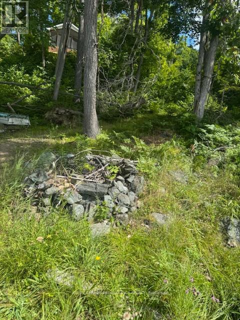 493 Buttermilk Lane N, Marmora And Lake, Ontario  K0K 2M0 - Photo 13 - X12301631