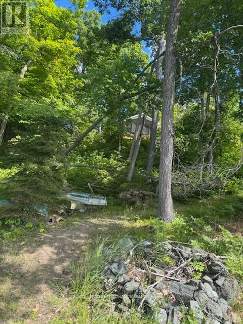 493 Buttermilk Lane N, Marmora And Lake, Ontario  K0K 2M0 - Photo 14 - X12301631