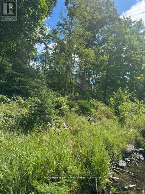 493 Buttermilk Lane N, Marmora And Lake, Ontario  K0K 2M0 - Photo 16 - X12301631