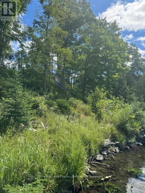 493 Buttermilk Lane N, Marmora And Lake, Ontario  K0K 2M0 - Photo 17 - X12301631