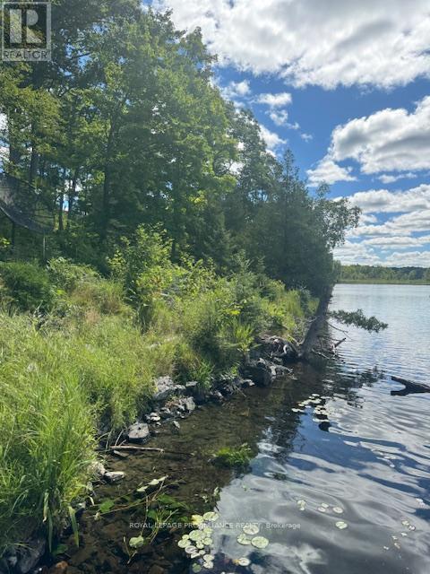 493 Buttermilk Lane N, Marmora And Lake, Ontario  K0K 2M0 - Photo 18 - X12301631