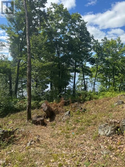 493 Buttermilk Lane N, Marmora And Lake, Ontario  K0K 2M0 - Photo 2 - X12301631