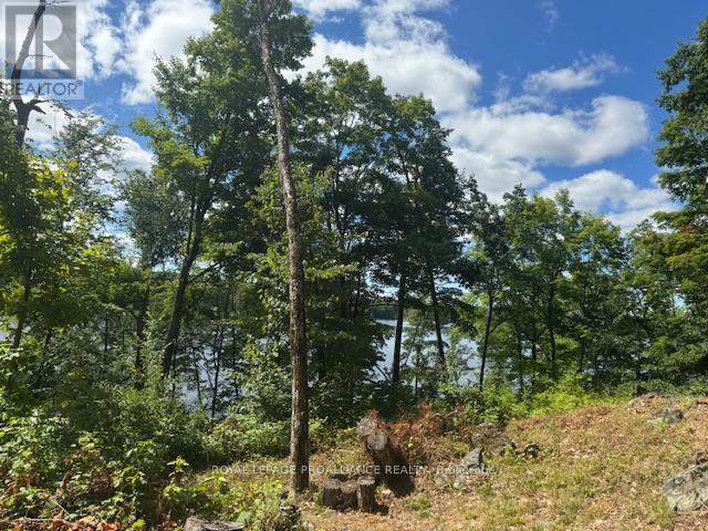 493 Buttermilk Lane N, Marmora And Lake, Ontario  K0K 2M0 - Photo 24 - X12301631