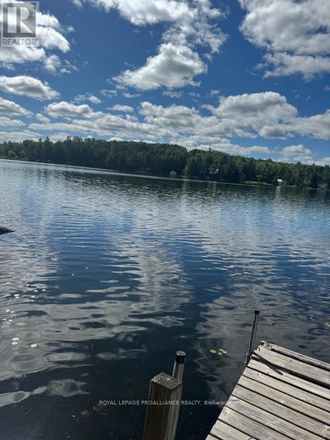 493 Buttermilk Lane N, Marmora And Lake, Ontario  K0K 2M0 - Photo 9 - X12301631