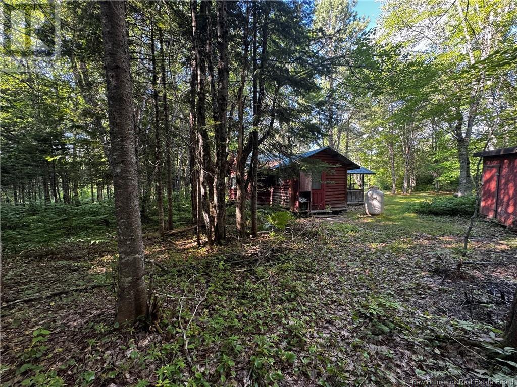 Property at CAMP Hwy 118 image 4