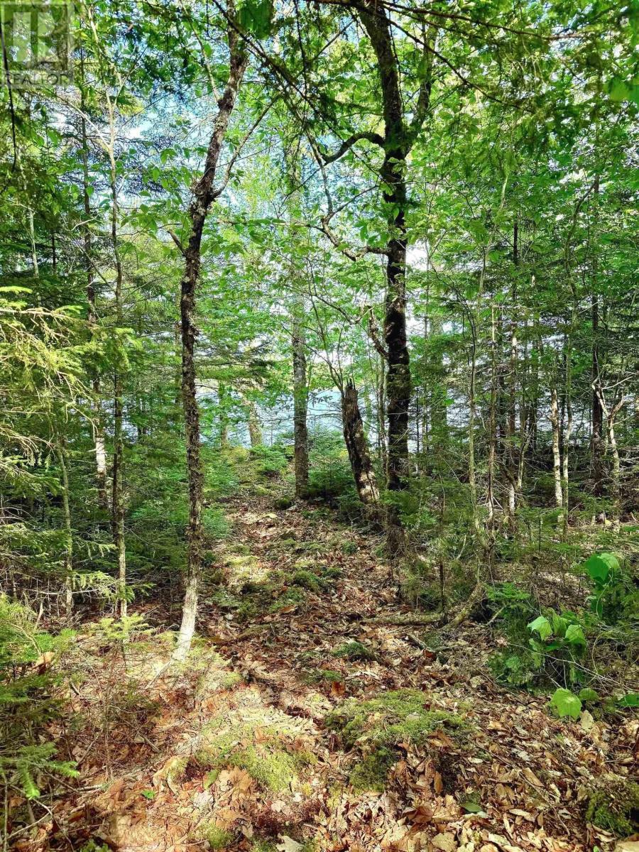 Lot 40 Cliff Road, New Russell, Nova Scotia  B0J 2M0 - Photo 5 - 202518435
