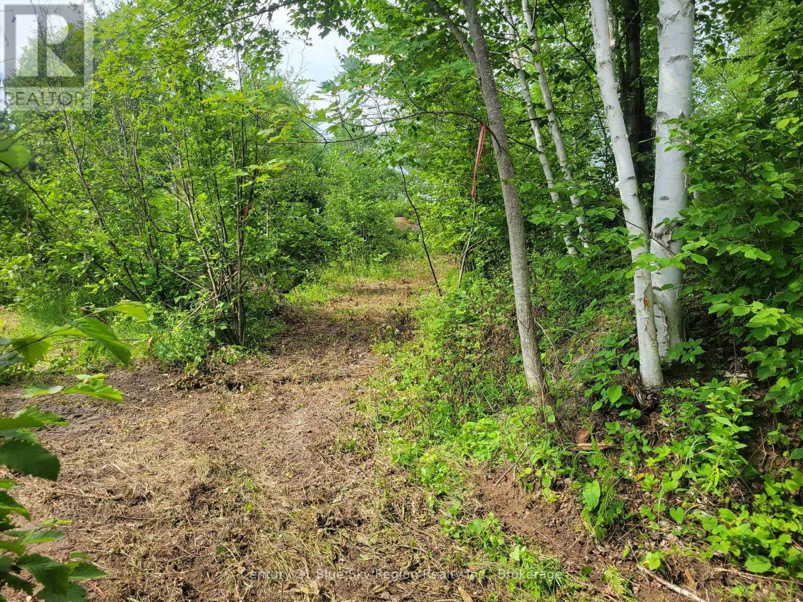 181 Ruston Road, Nipissing, Ontario  P0H 1H0 - Photo 10 - X12301959