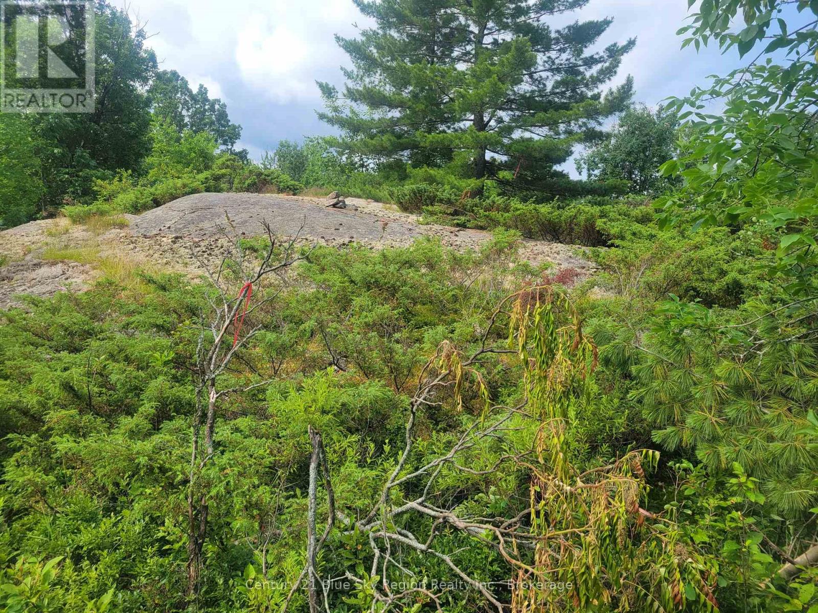 181 Ruston Road, Nipissing, Ontario  P0H 1H0 - Photo 11 - X12301959