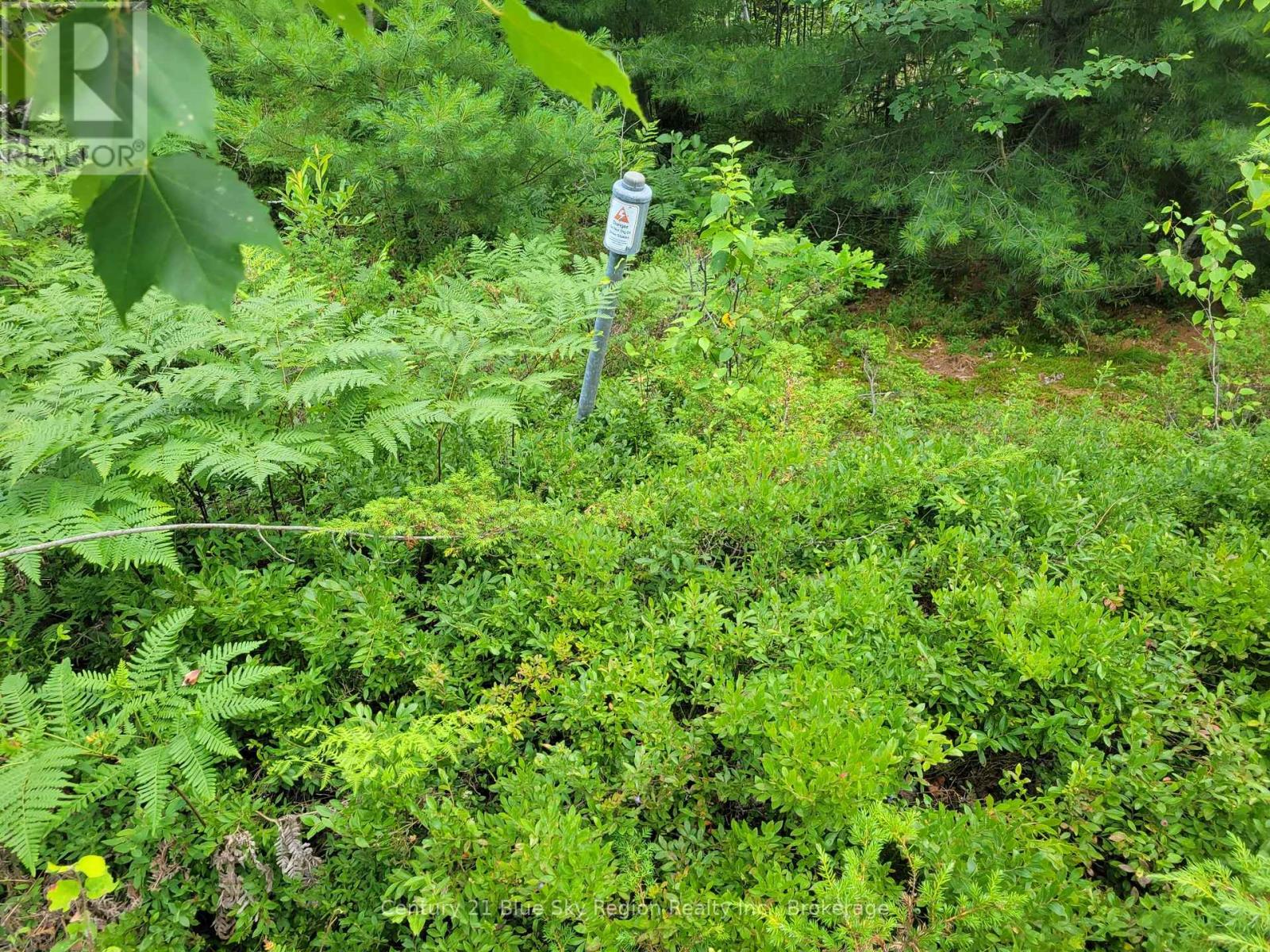 181 Ruston Road, Nipissing, Ontario  P0H 1H0 - Photo 18 - X12301959