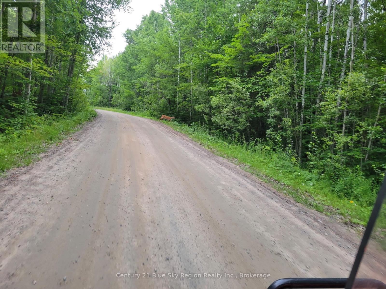 181 Ruston Road, Nipissing, Ontario  P0H 1H0 - Photo 4 - X12301959