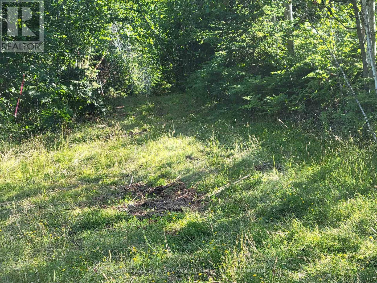 181 Ruston Road, Nipissing, Ontario  P0H 1H0 - Photo 8 - X12301959
