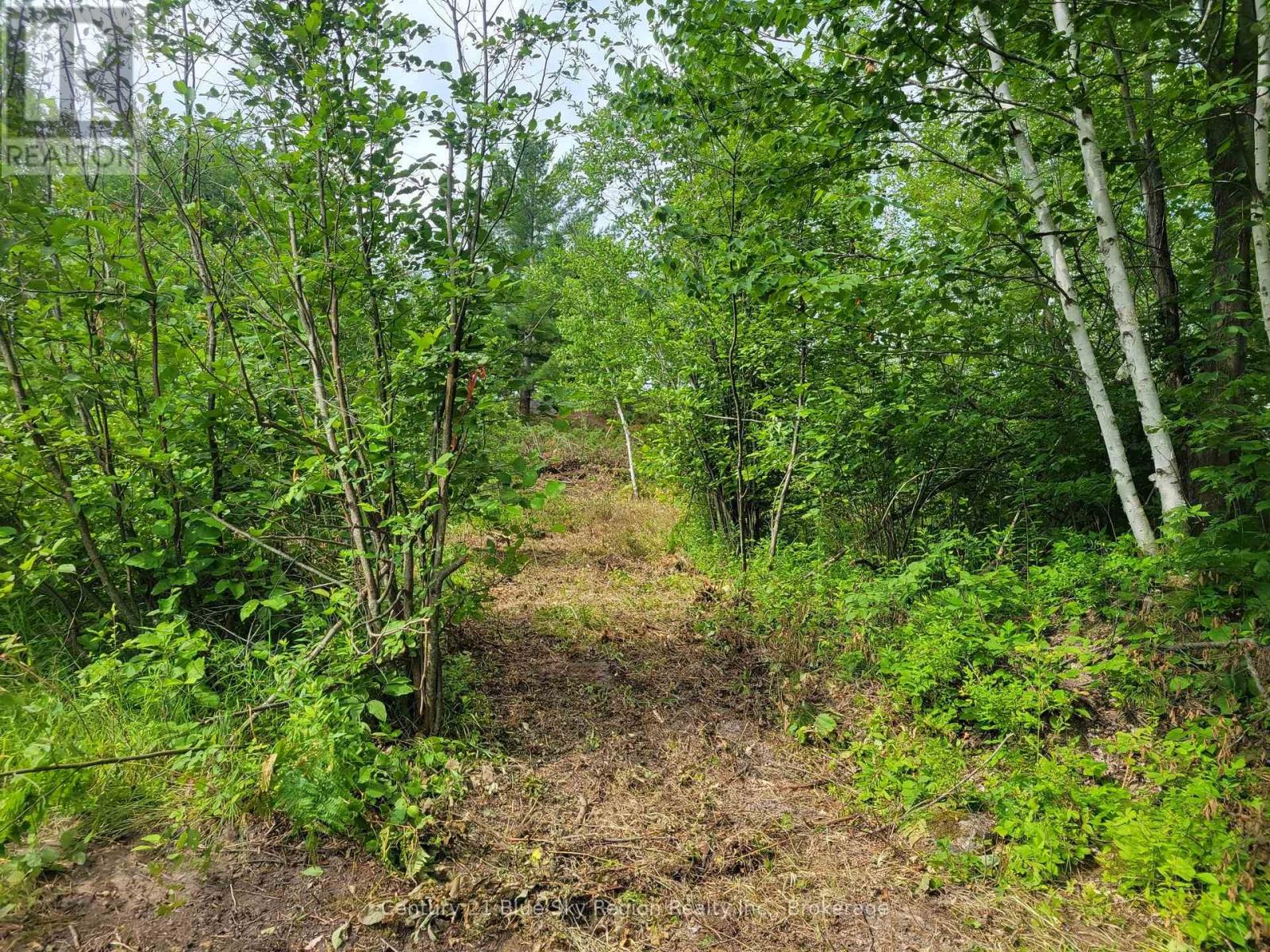 181 Ruston Road, Nipissing, Ontario  P0H 1H0 - Photo 9 - X12301959