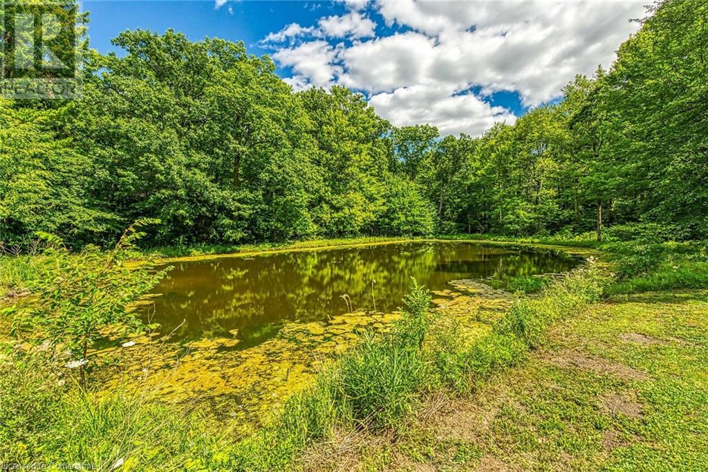 118 Concession 1 Road, Canfield, Ontario  N0A 1C0 - Photo 31 - 40753405