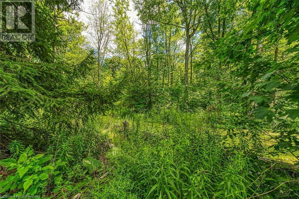 118 Concession 1 Road, Canfield, Ontario  N0A 1C0 - Photo 35 - 40753405