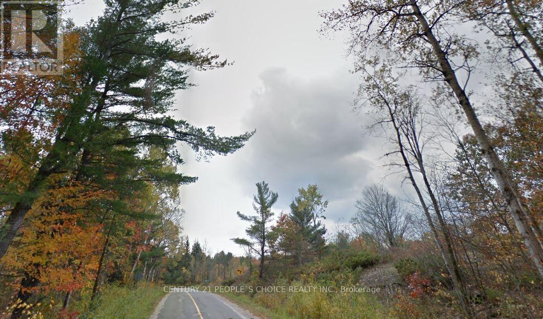 Lot-A Southwood Road, Gravenhurst, Ontario  P0E 1G0 - Photo 5 - X12298392