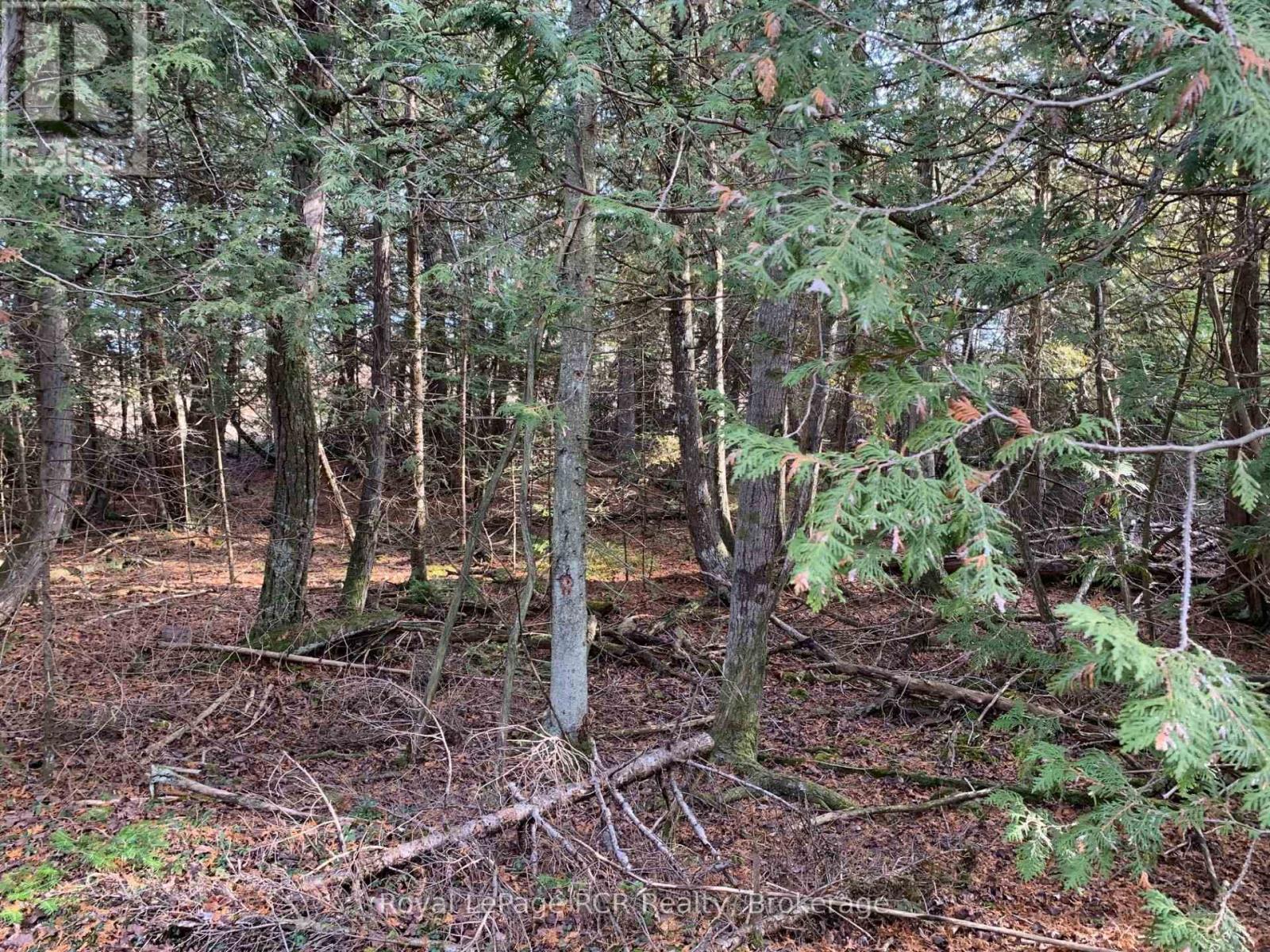 153 Mcdonough Lane 1-10 Lane, Northern Bruce Peninsula, Ontario  N0H 1W0 - Photo 11 - X12059643
