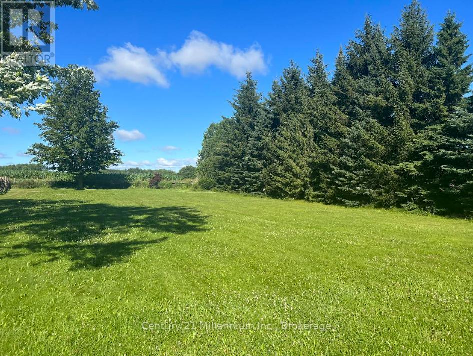 156360 7th Line, Grey Highlands, Ontario  N4L 1W6 - Photo 3 - X12301958
