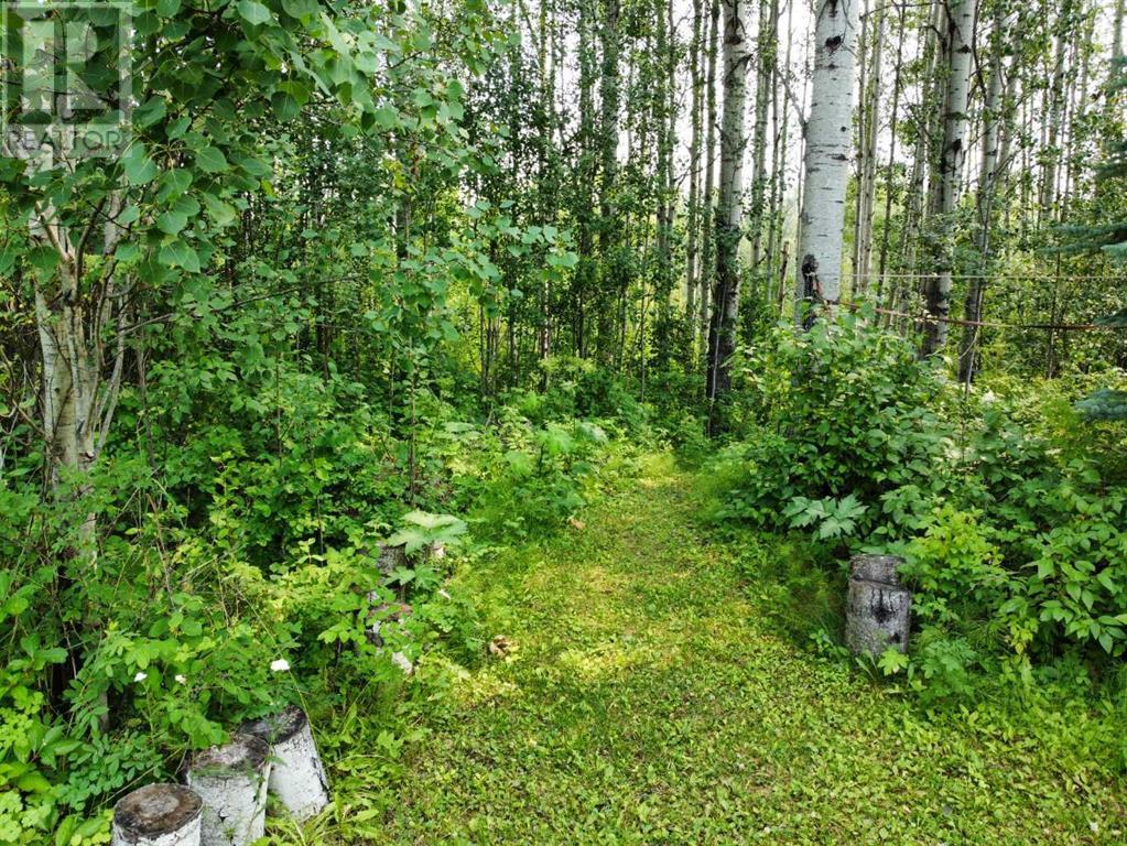 31 22003, Lot#31 43 Highway, Little Smoky, Alberta  T0H 3Z0 - Photo 48 - A2241735